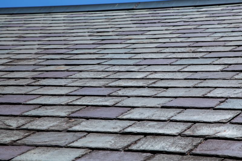 Slate Roofing Service in Alexandria, VA